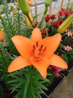 [5021 Tresor EVR No02.JPG]